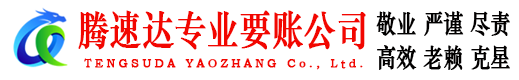 清流清债公司